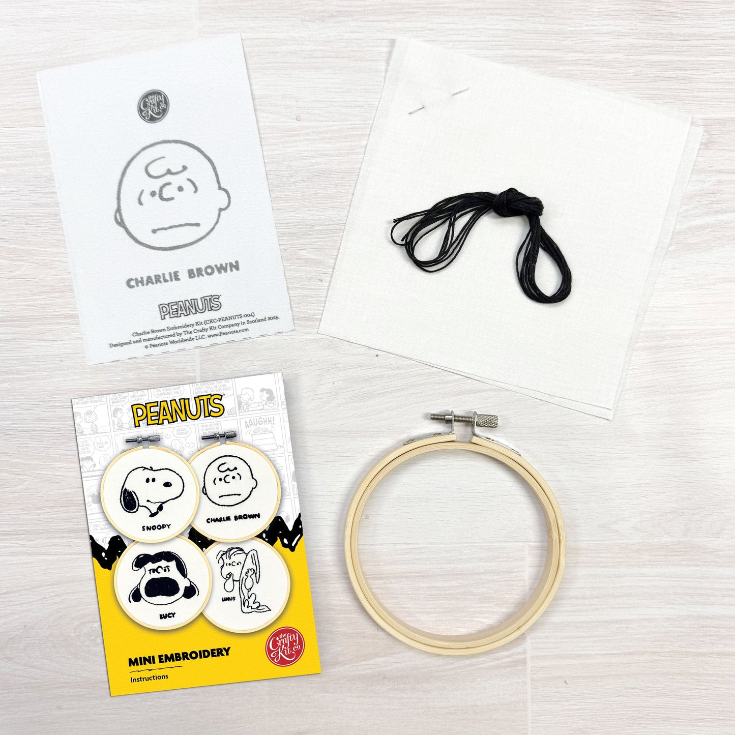 Peanuts - Charlie Brown Mini Embroidery Kit