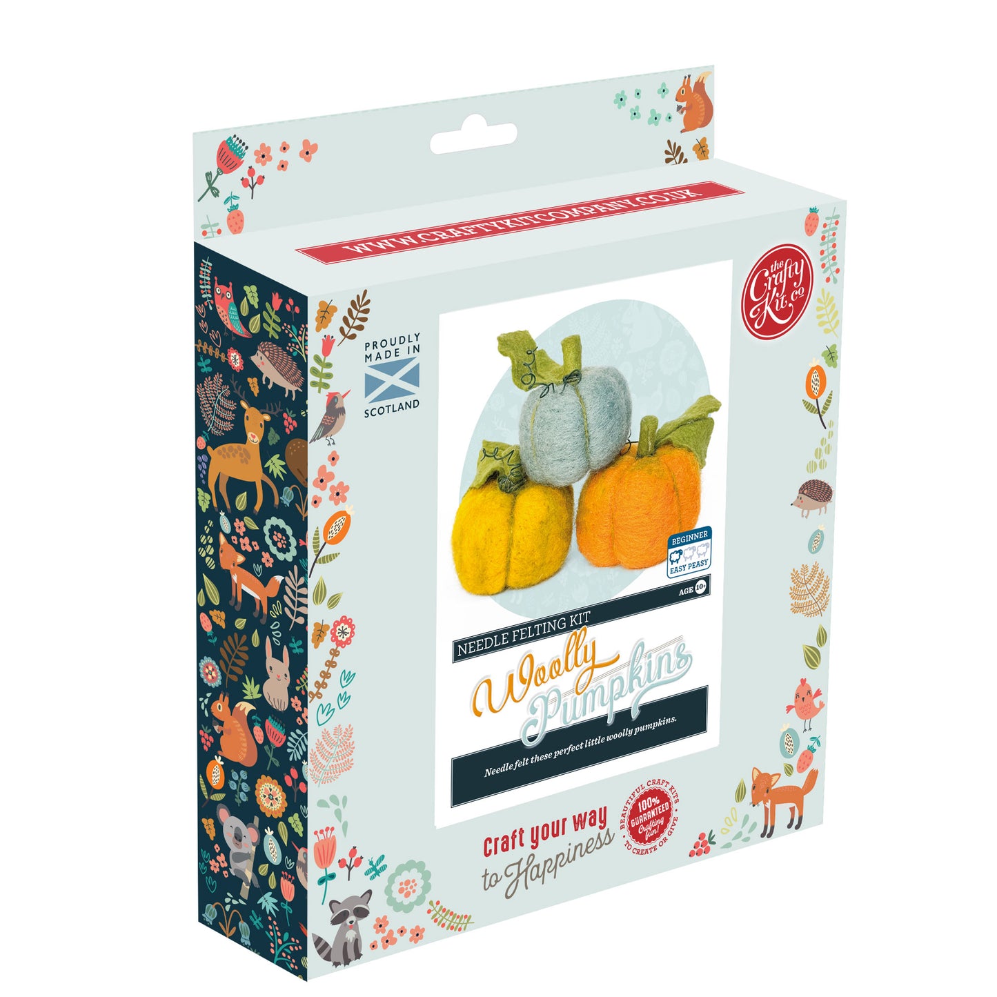 Woolly Pumpkins Needle Felting Craft Kit