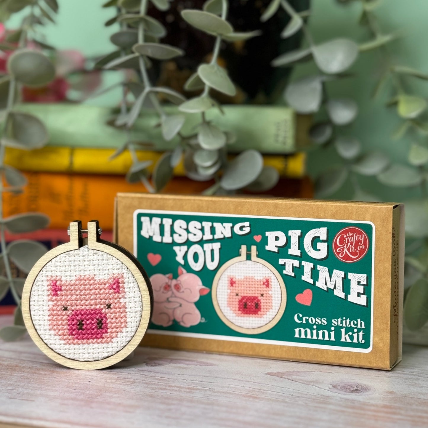 Missing You Pig Time Mini Matchbox Cross Stitch Kit