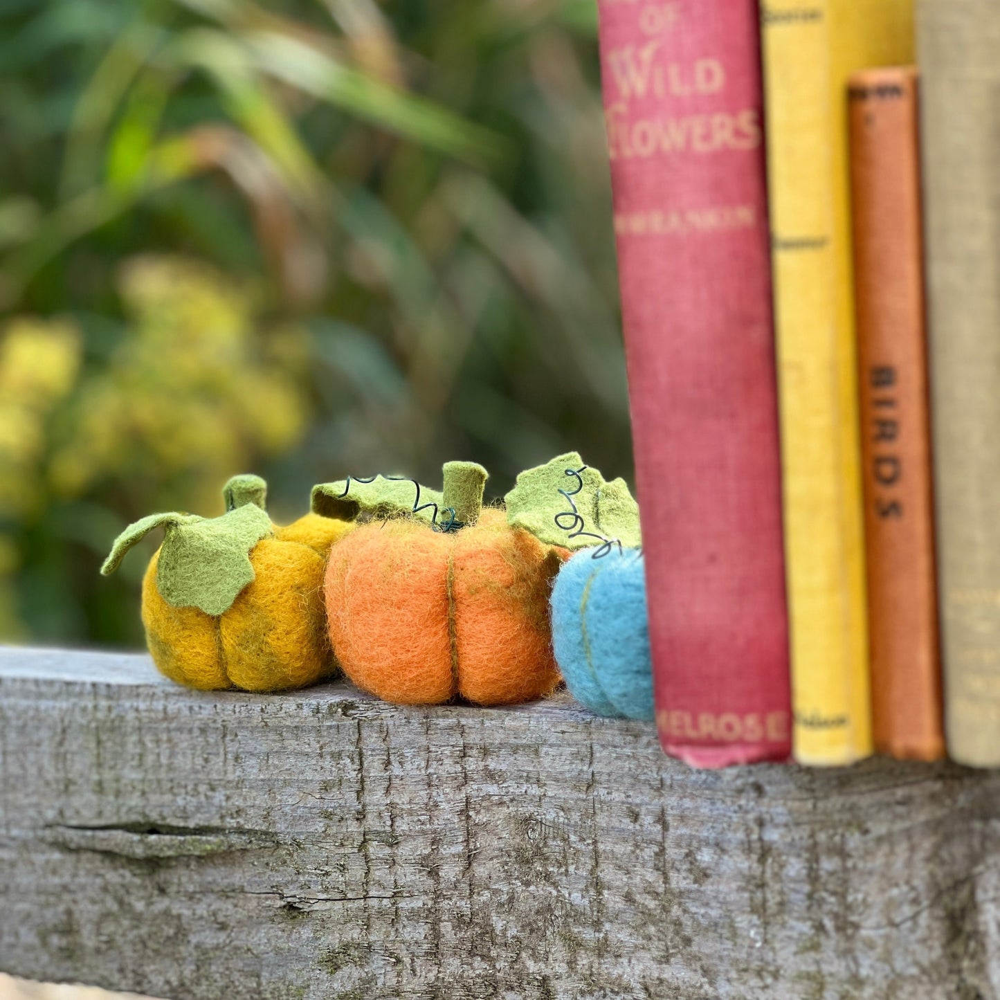 Woolly Pumpkins Needle Felting Craft Kit