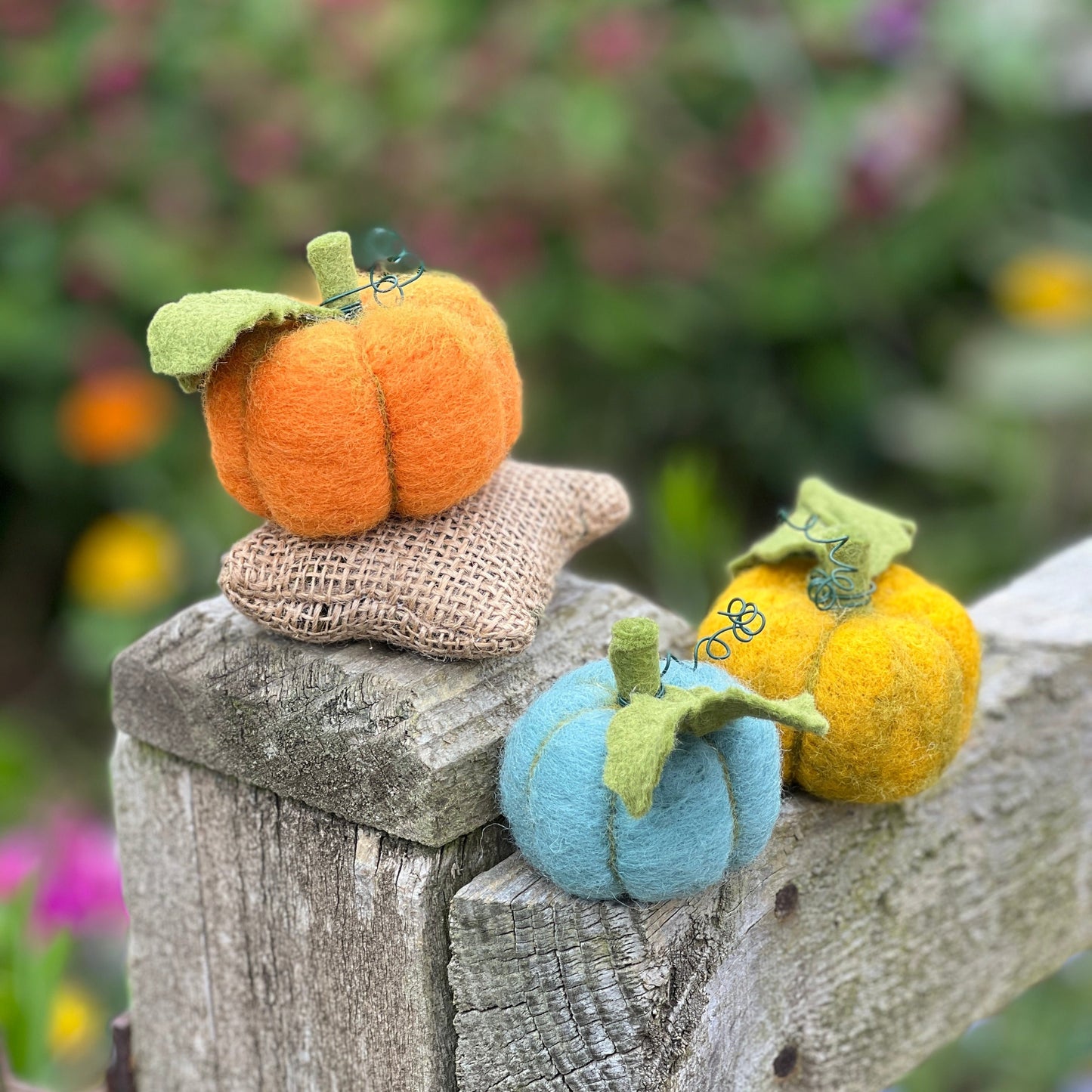 Woolly Pumpkins Needle Felting Craft Kit