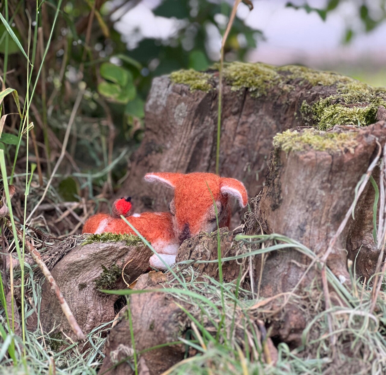Sleepy Fawn Needle Felting Craft Kit