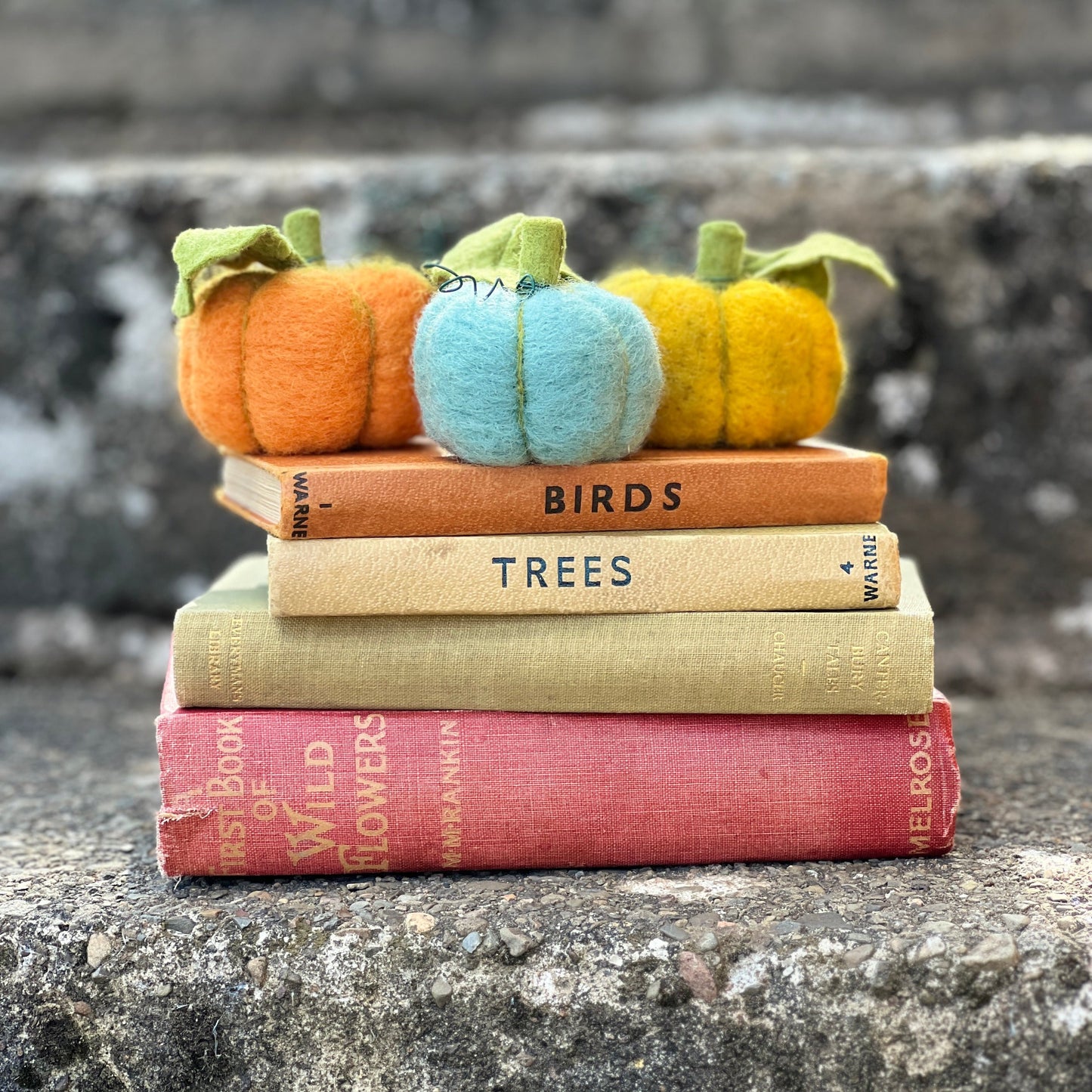 Woolly Pumpkins Needle Felting Craft Kit