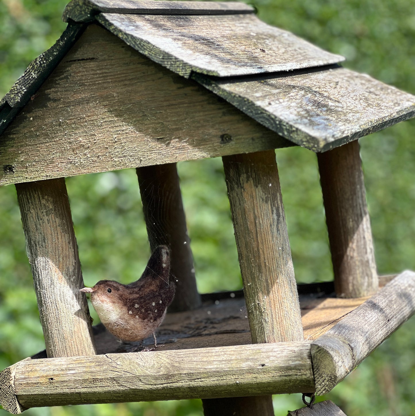 Jenny Wren Needle Felting Craft Kit