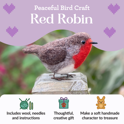 British Birds Red Robin Needle Felting Craft Kit