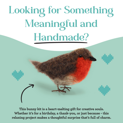 British Birds Red Robin Needle Felting Craft Kit