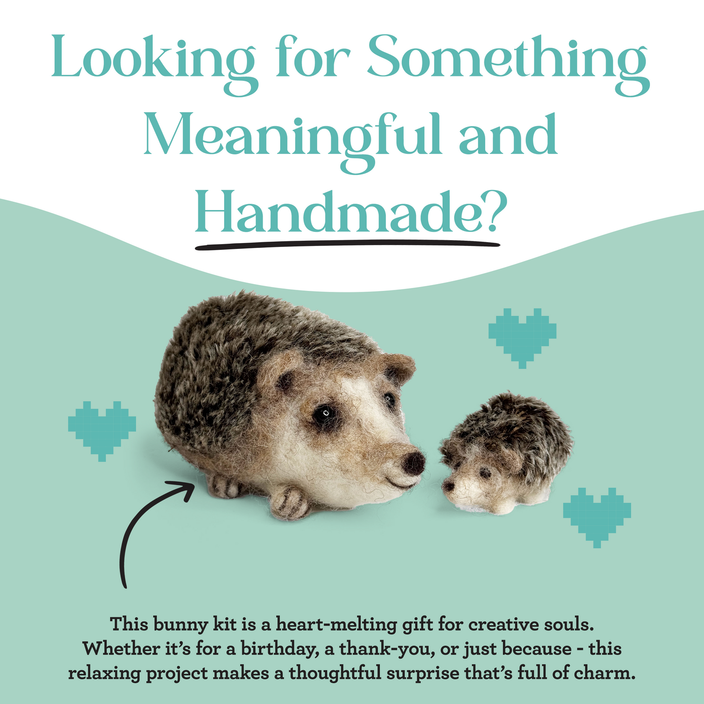 Happy Hedgehogs Needle Felting Craft Kit