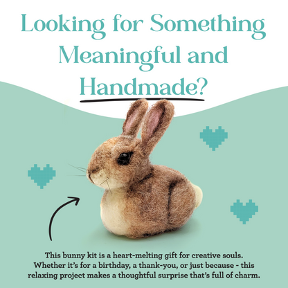 Baby Bunny Needle Felting Craft Kit
