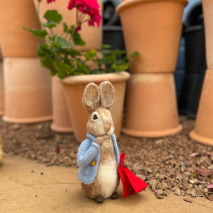 Beatrix Potter - Peter Rabbit and his Pocket Handkerchief Needle Felting Craft Kit