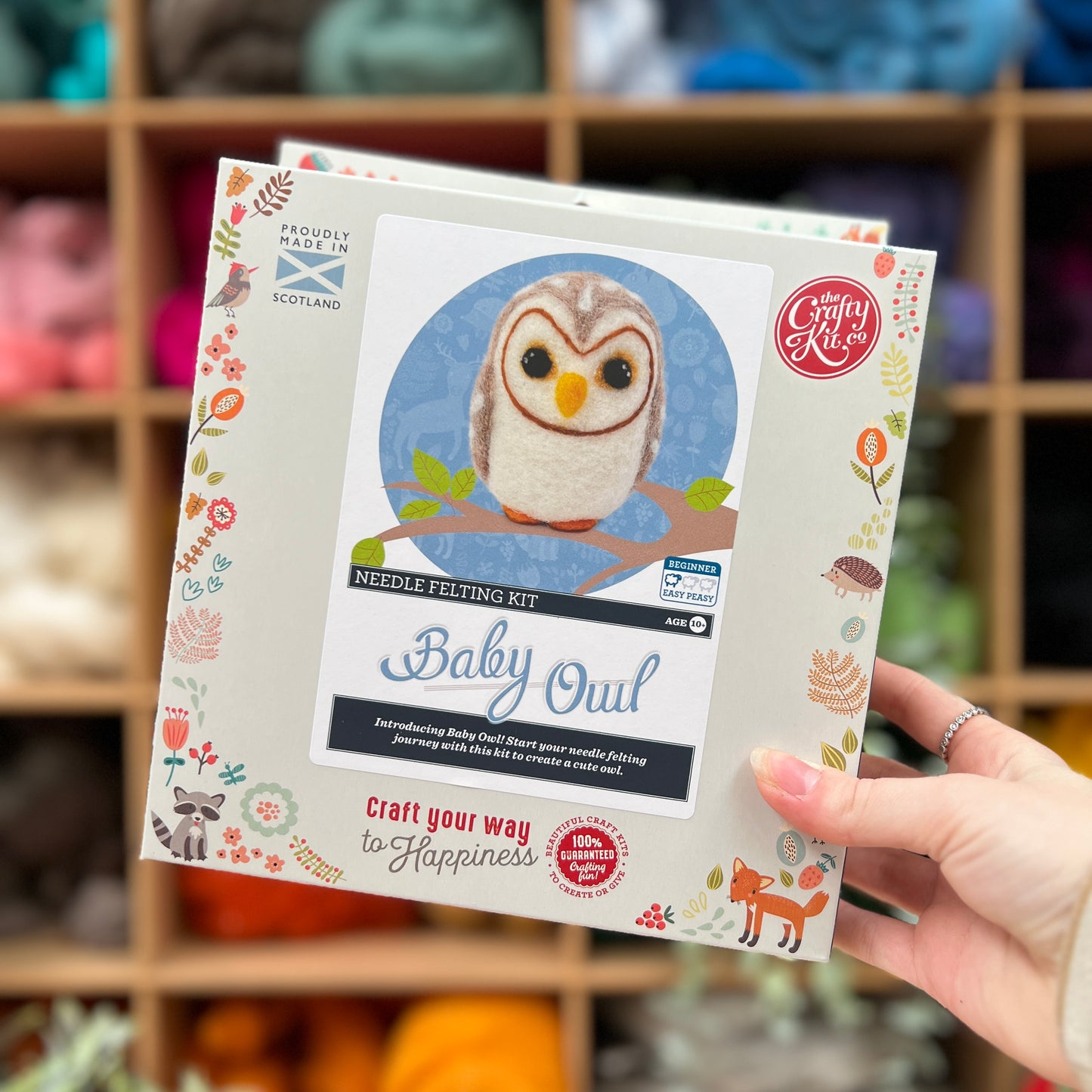 Baby Owl Needle Felting Craft Kit