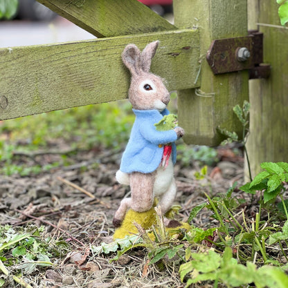 Beatrix Potter - Peter Rabbit and the Stolen Radishes Needle Felting Craft Kit