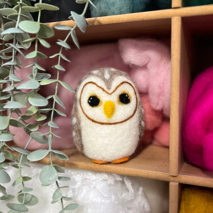 Baby Owl Needle Felting Craft Kit