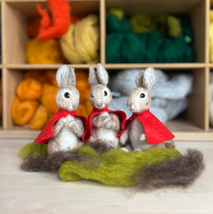 Beatrix Potter - Flopsy, Mopsy and Cotton-tail Needle Felting Craft Kit