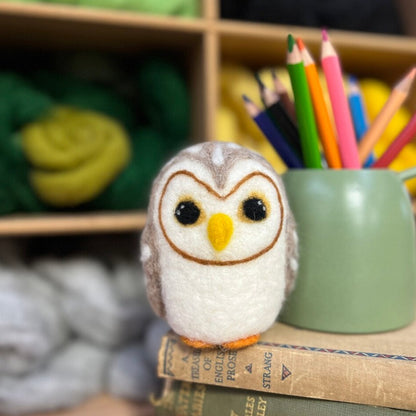 Baby Owl Needle Felting Craft Kit