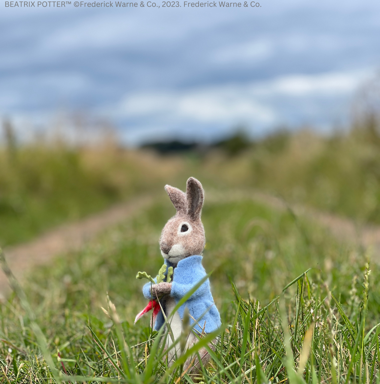 Beatrix Potter - Peter Rabbit and the Stolen Radishes Needle Felting Craft Kit