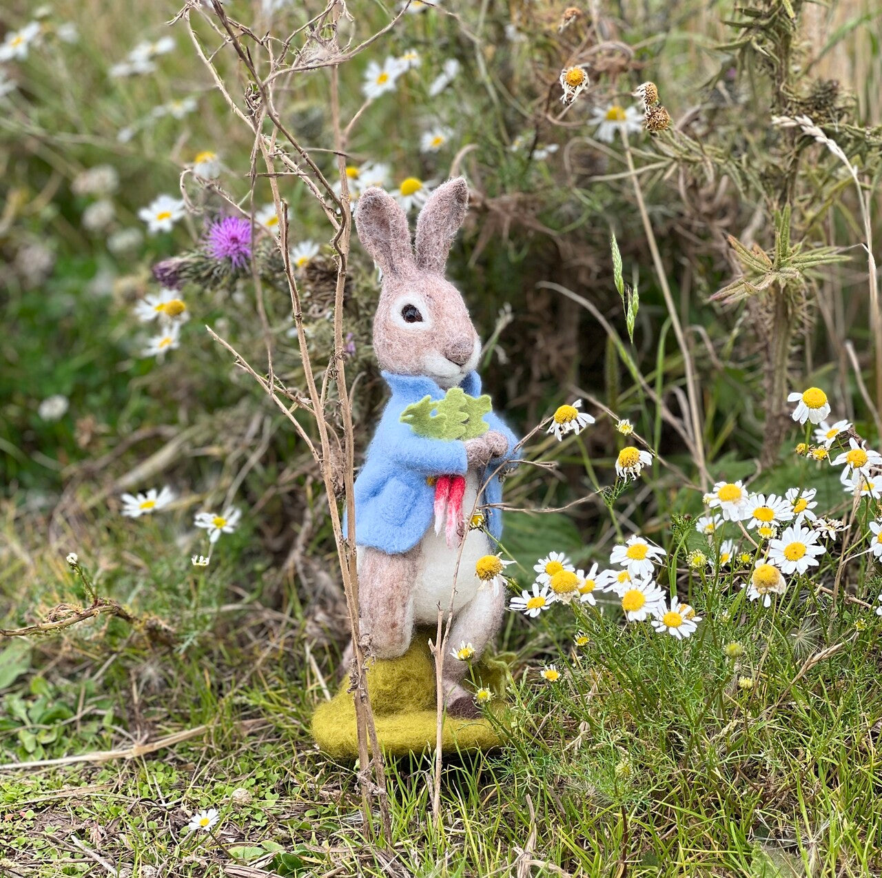 Beatrix Potter - Peter Rabbit and the Stolen Radishes Needle Felting Craft Kit