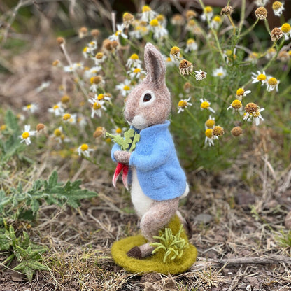 Beatrix Potter - Peter Rabbit and the Stolen Radishes Needle Felting Craft Kit